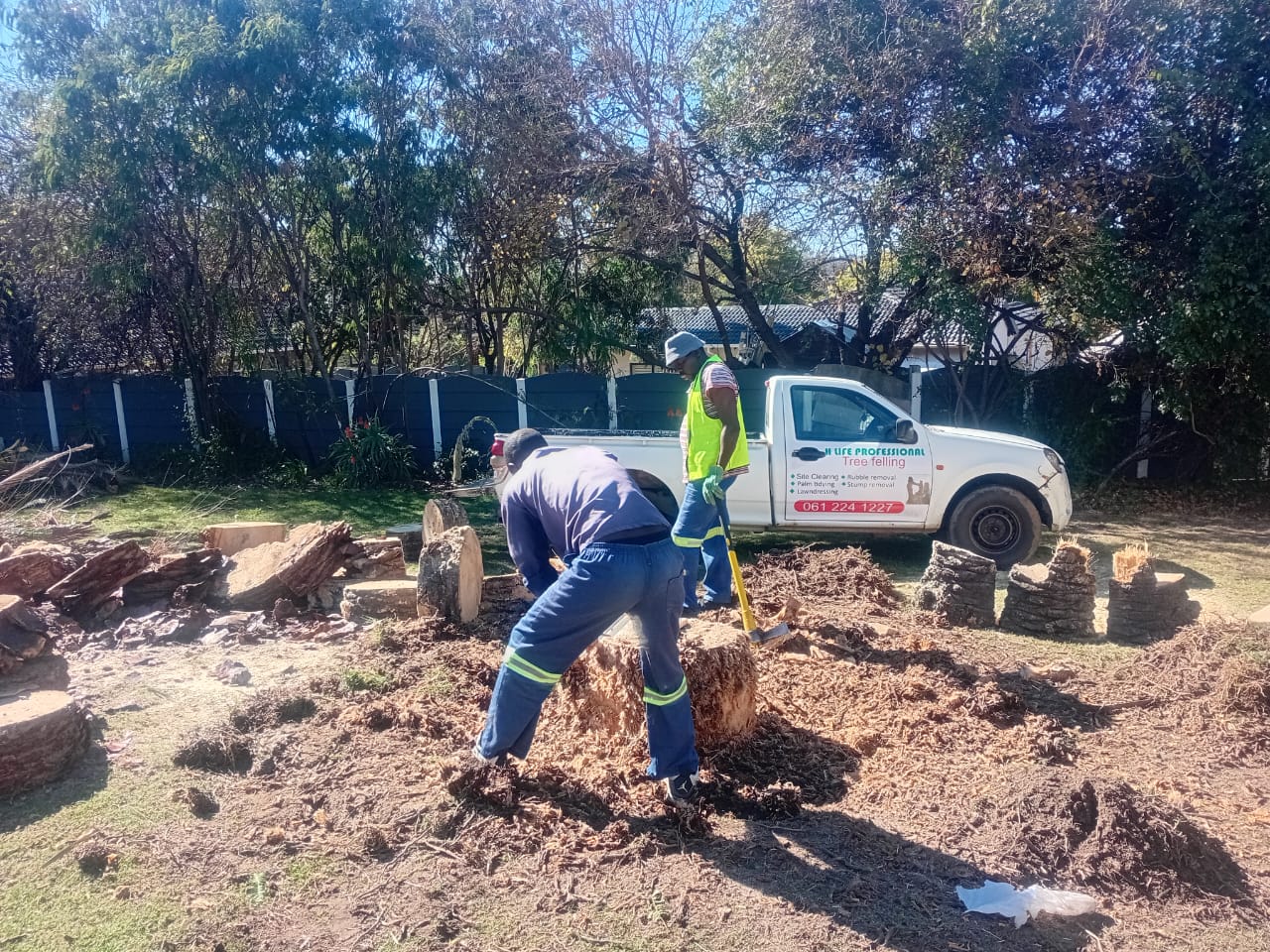 WhatsApp Image 2026-02-15 at 14.47.03 (1)