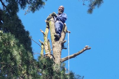 WhatsApp Image 2026-02-15 at 14.46.56