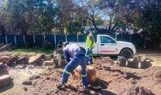 WhatsApp Image 2026-02-15 at 14.47.03 (1)