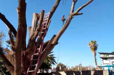 WhatsApp Image 2026-02-15 at 14.47.03