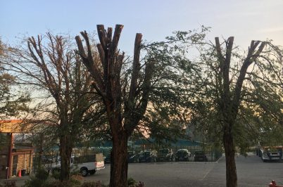 WhatsApp Image 2026-02-15 at 14.47.08